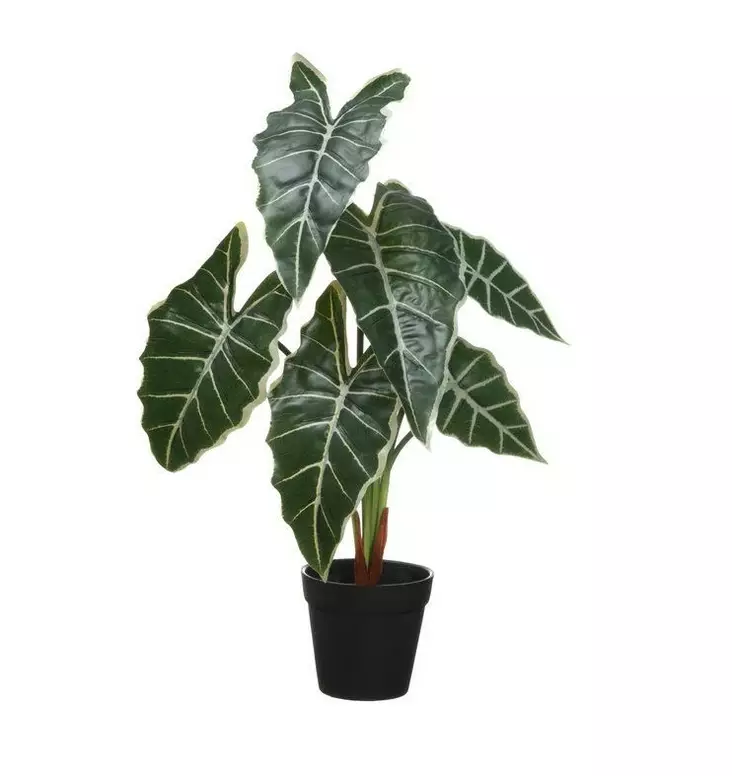 Viherkasvi Juurakkovehka 51cm 4LIVING - Tekokukat - 110161 - 1