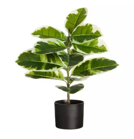 Viherkasvi Kumipuu 60cm 4LIVING - Tekokukat - 187503 - 1