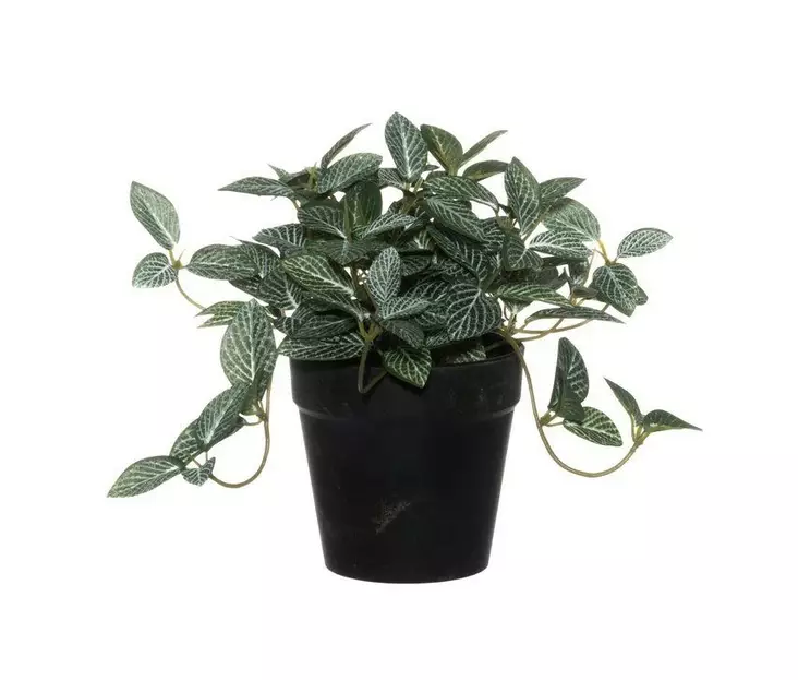 Viherkasvi Pitsilehti 17cm 4LIVING - Tekokukat - 130744 - 1