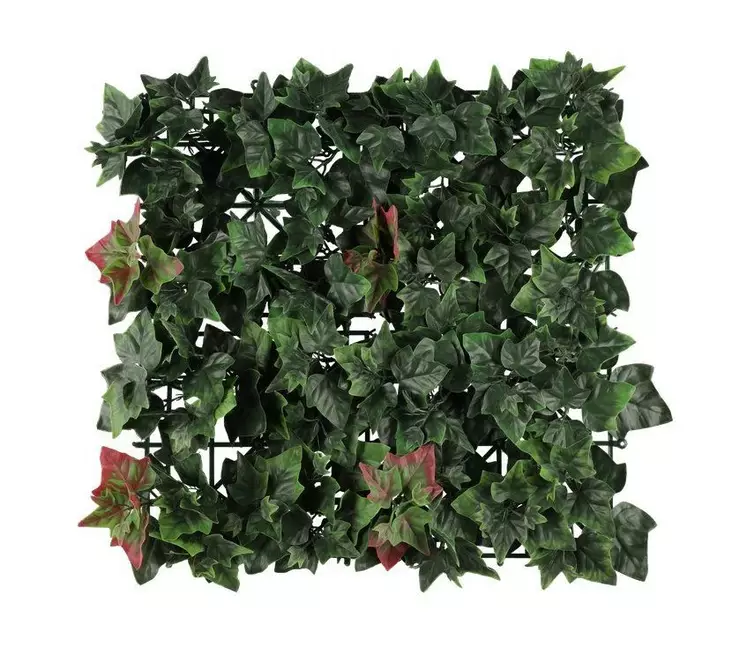 Viherkasvi Muratti 50x50cm 4LIVING - Tekokukat - 174046 - 1